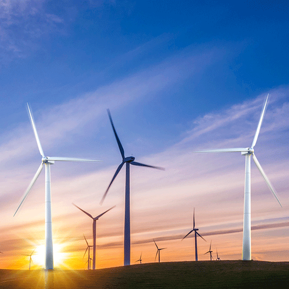 2025新澳门免费原料大全